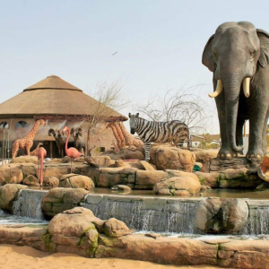 Dubai Safari Park