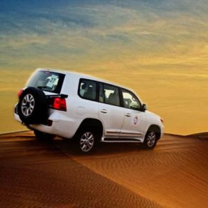 Evening Desert Safari